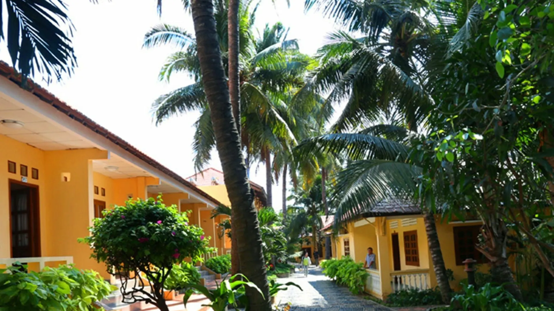 Hon Rom 1 Resort Mui Ne